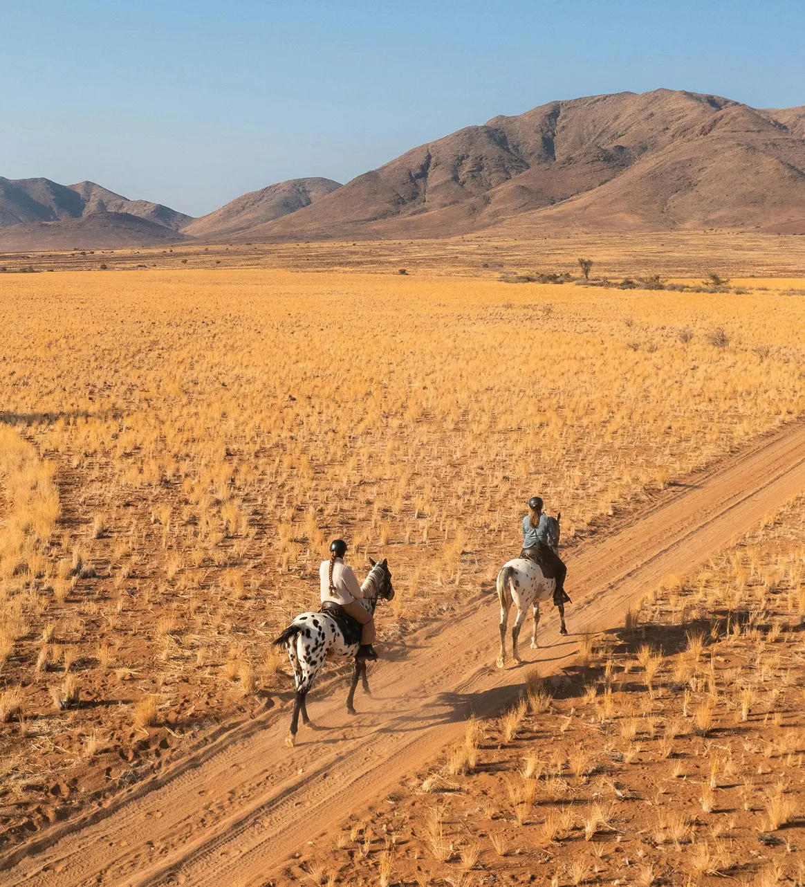 Horseback riding in Mongolia